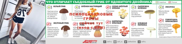 дмт Белокуриха